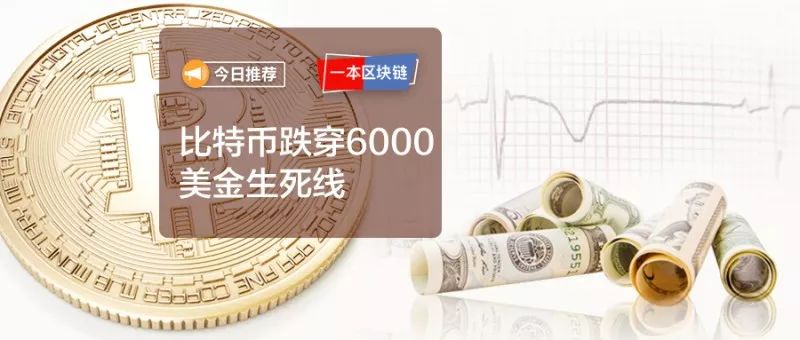 九游体育官方网站-关于OP遭遇大幅下滑超422%，投资者恐慌性抛售的信息